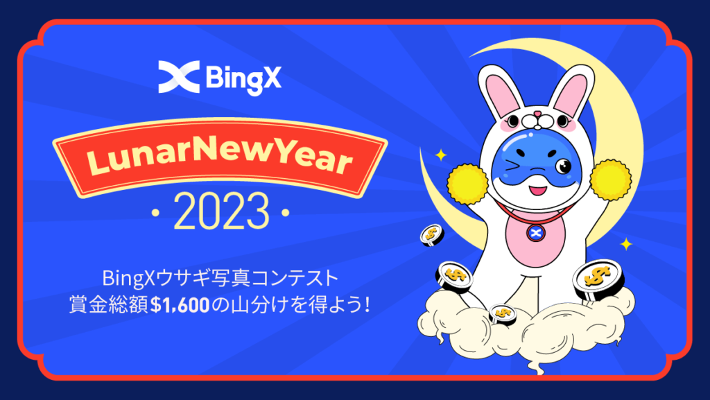 【〜25日】BingXウサギ写真コンテスト！賞金総額1,600ドル山分け！